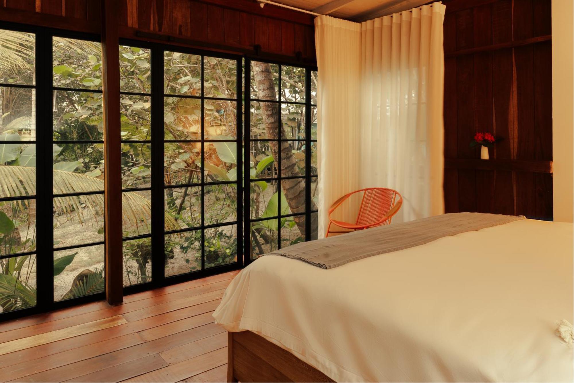 Solea Tropical