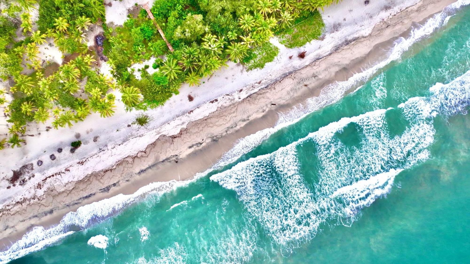 Solea Tropical Santa Marta (Magdalena)